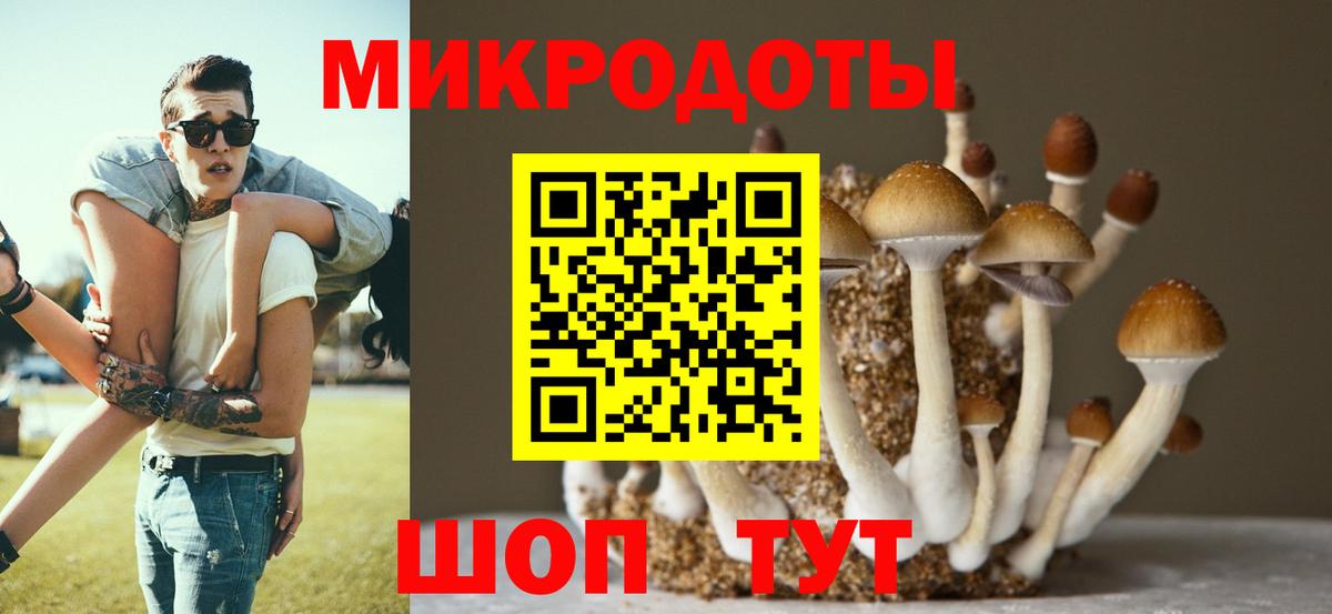 где продают   Вход с VPN  Лыткарино  Псилоцибиновые грибы Psilocybe 